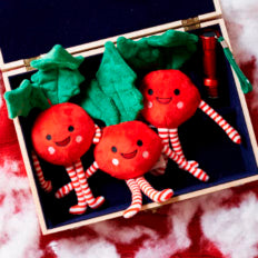 Coffre en bois & peluches